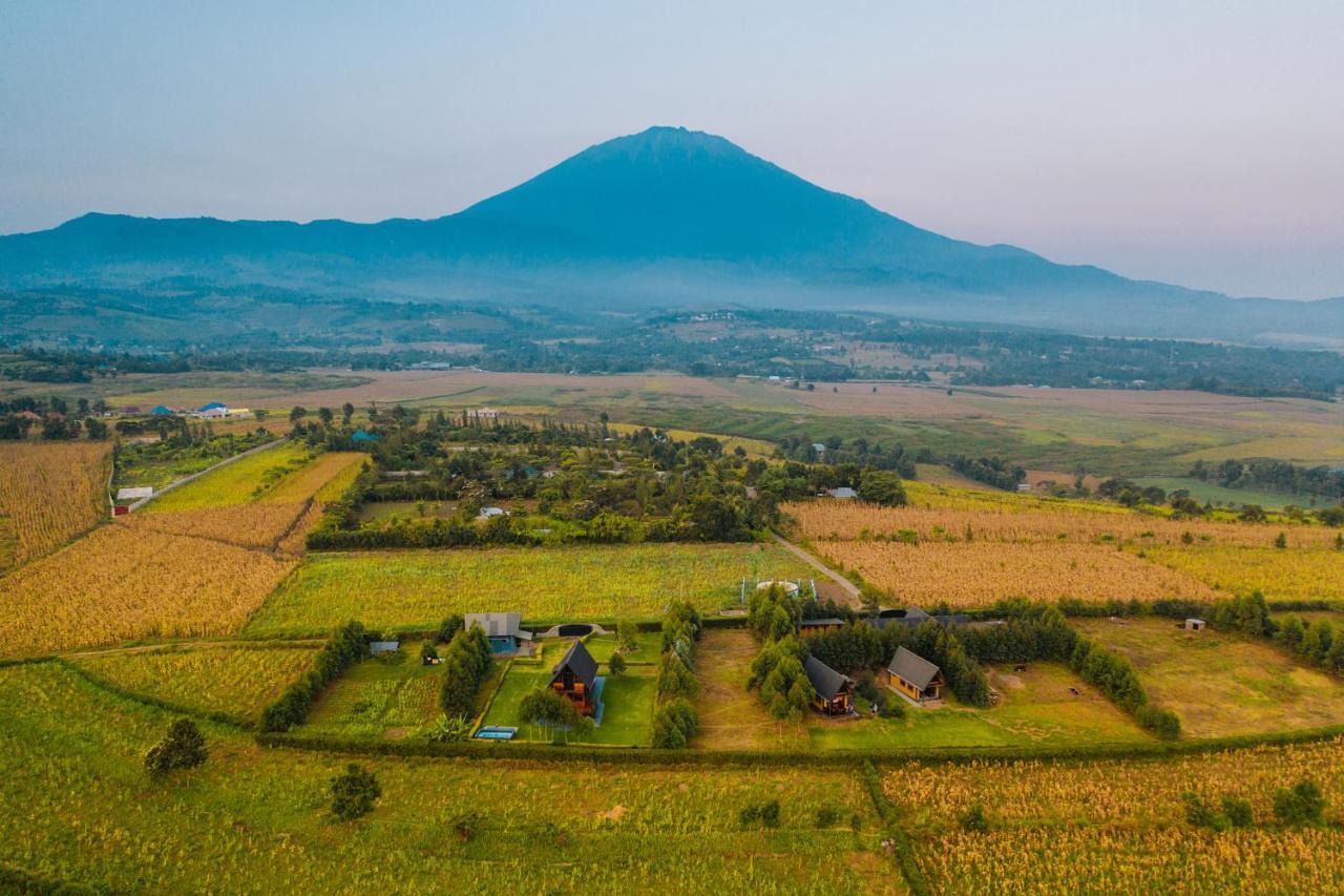 Shamba Lodge Cabin B Arusza Zewnętrze zdjęcie