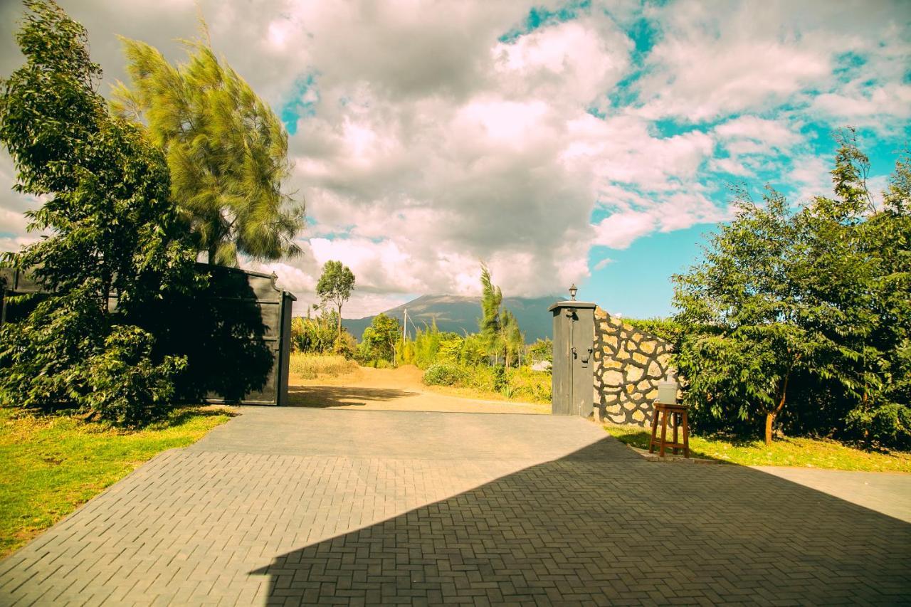 Shamba Lodge Cabin B Arusza Zewnętrze zdjęcie