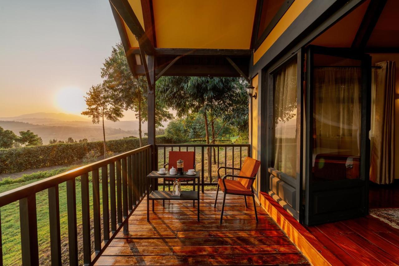 Shamba Lodge Cabin B Arusza Zewnętrze zdjęcie
