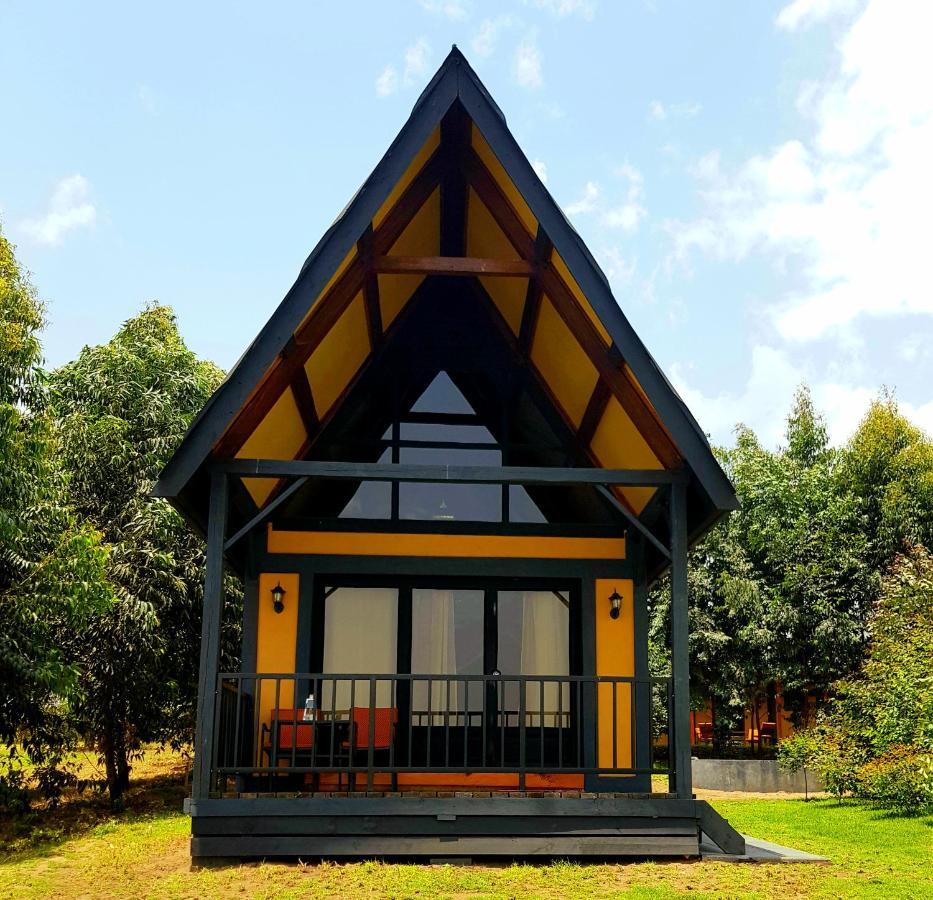 Shamba Lodge Cabin B Arusza Zewnętrze zdjęcie